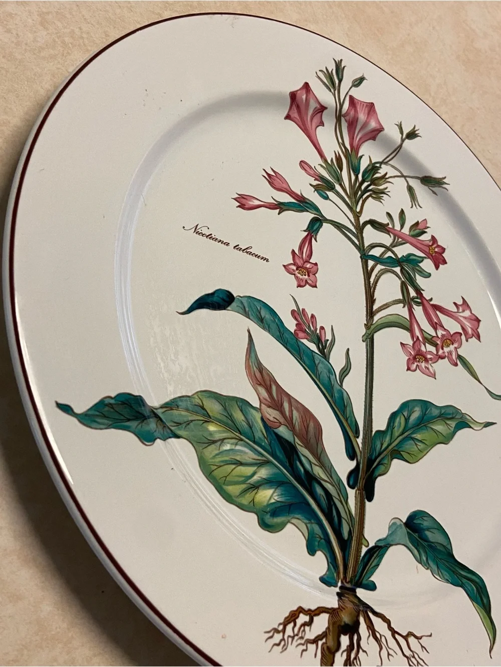 Villeroy & Boch Botanica Nicotiana Tabacum 12.5” Chop Plate Platter Porcelain  E